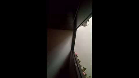 morbucksrica online show from March 1, 7:02 pm