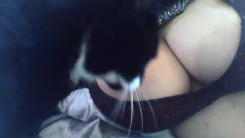 Snapshot of mslany chatting on December 2, 6:19 pm mslany online show from December 2, 6:19 pm