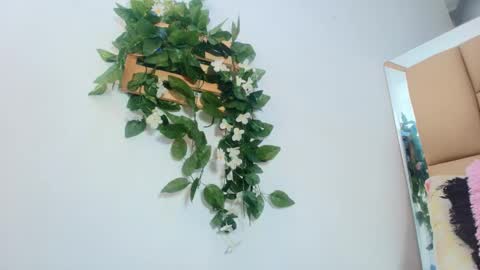 MARIA ANTONELLA 3 online show from January 15, 3:12 am