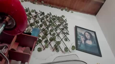 Nasha online show from October 26, 5:30 pm