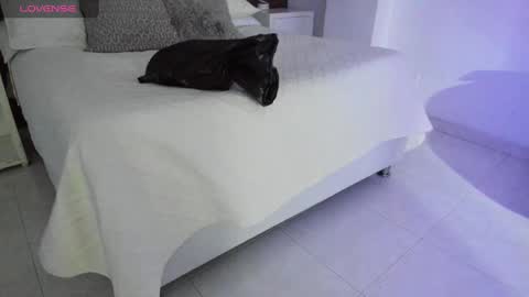 Naxa  Lexi online show from February 18, 11:55 am