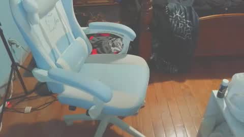 NekoKittenz online show from April 22, 1:57 am