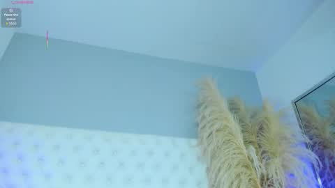 Nicol  online show from February 13, 4:36 am