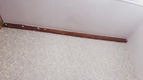 Nicol online show from October 4, 7:51 pm