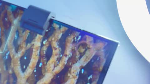 Nicolle online show from January 19, 11:17 am