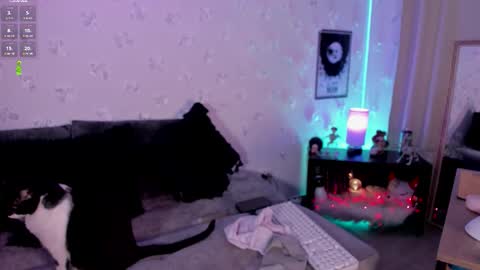 pamela online show from March 9, 3:42 am