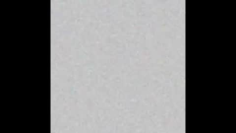 Snapshot of pelagy chatting on October 1, 5:40 pm Pelagy Show time 2-10 pm Dubai time zone online show from October 1, 5:40 pm