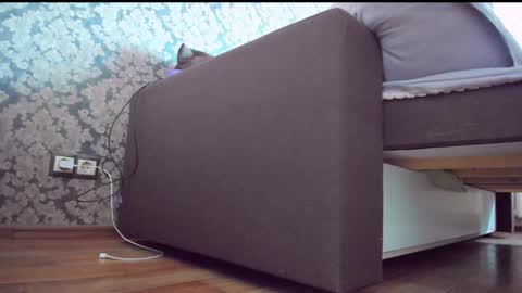 Snapshot of perfectdate chatting on December 10, 9:01 am Anna online show from December 10, 9:01 am