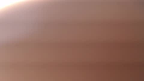 lecia online show from November 4, 4:06 am