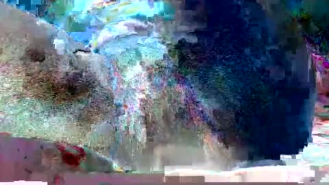 Snapshot of petiteme1 chatting on March 12, 8:20 pm petiteme1 online show from March 12, 8:20 pm