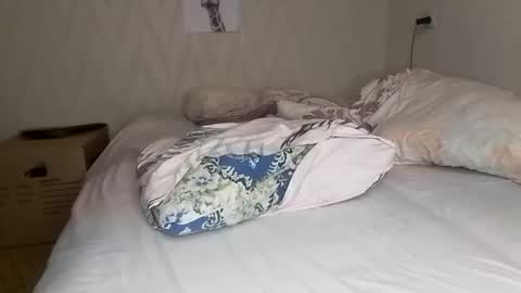 Pikachu pika online show from December 15, 12:07 am