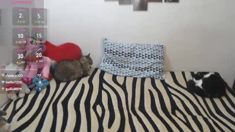 Pocahontas online show from November 14, 4:29 pm