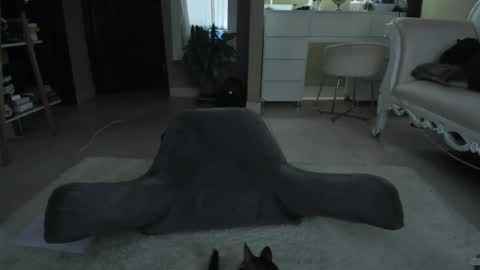  - Help me Reach 100 thumbs up  online show from December 10, 10:26 pm