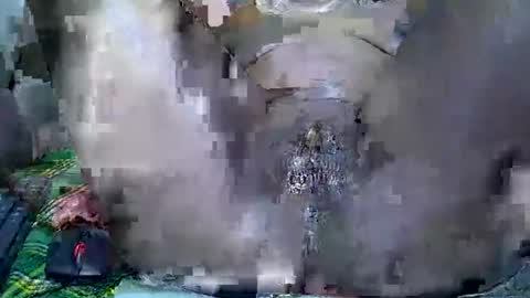 Prettiesexxy online show from March 19, 9:46 am