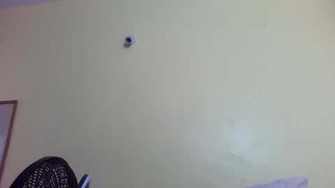 phelly online show from February 4, 11:41 pm