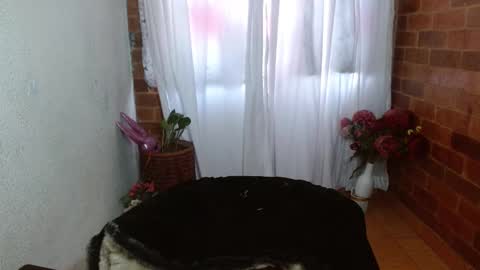 Snapshot of raquel_gh chatting on February 21, 9:32 pm Raquel online show from February 21, 9:32 pm