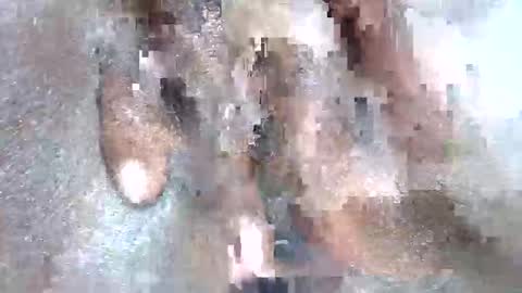 realwetpussy3 online show from February 16, 8:41 pm