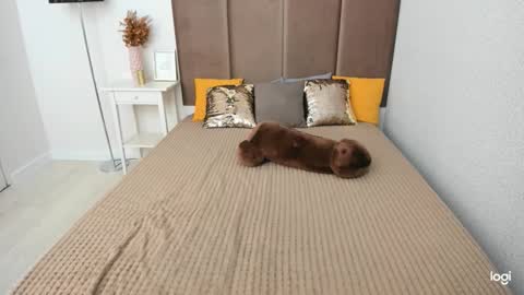 Betty online show from October 7, 6:18 am