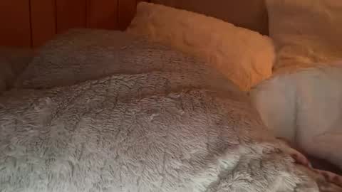 Rose online show from March 18, 3:00 am