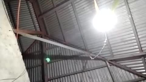 rose_marie2025 online show from December 21, 8:46 pm