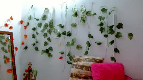 SABRI online show from December 15, 9:25 am