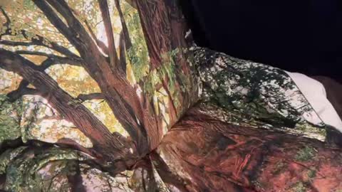 Haylee Fallout online show from March 12, 1:08 am