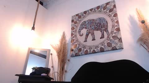 Sammy  online show from February 4, 6:49 am