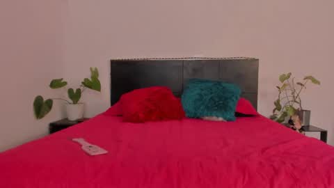 Girl next door online show from January 21, 9:25 pm