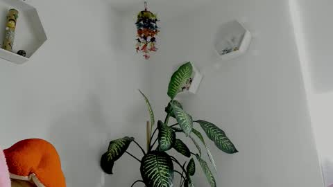 Saray  online show from February 2, 9:25 pm