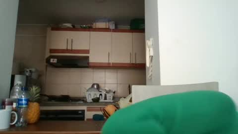 sarita_start online show from June 17, 3:13 pm