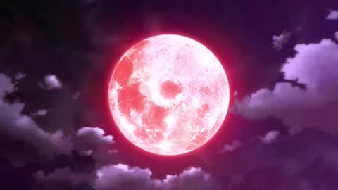 Selene G  online show from January 10, 5:56 am