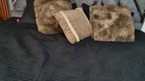 Dafne online show from April 6, 10:49 am