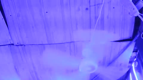 sexy_kella1 online show from November 23, 3:25 pm