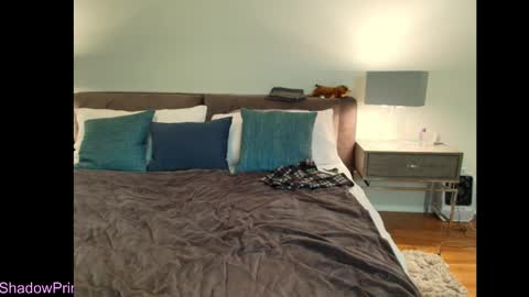 Snapshot of shadowprincessxxx chatting on October 4, 4:40 am shadowprincessxxx online show from October 4, 4:40 am