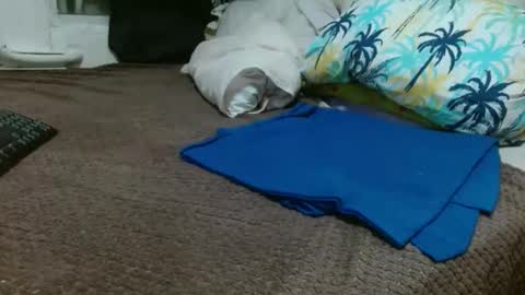 sharlot03 online show from February 10, 10:53 am