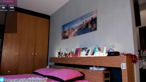 Snapshot of shinyways chatting on January 8, 2:57 am Melissa online show from January 8, 2:57 am