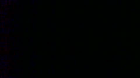 Bambi online show from February 6, 9:11 am