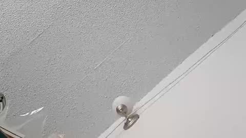 Bush with a class 3 rating online show from February 22, 7:59 pm