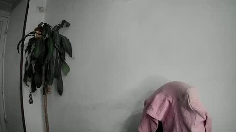 Silvie online show from February 12, 12:27 am