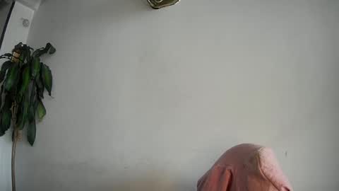 Silvie online show from February 15, 7:50 pm