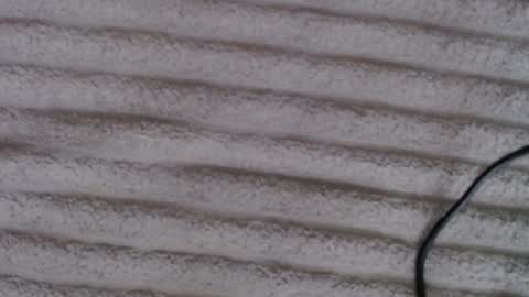 Lina online show from December 5, 10:49 am