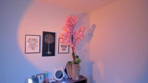 Siouxsie online show from March 20, 12:21 pm