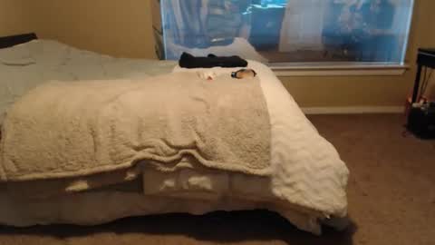 SKYLE   online show from February 3, 11:40 pm