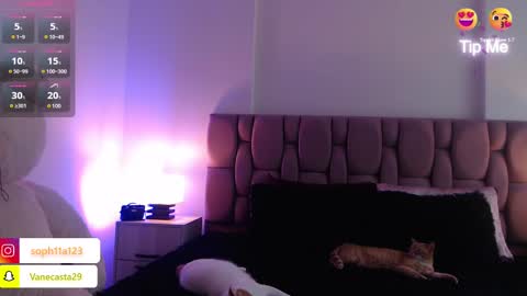 Snapshot of sophia_karsonn chatting on December 21, 6:33 pm Sophia Carson online show from December 21, 6:33 pm