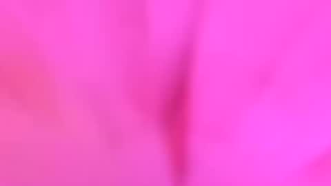 YourdirtysecretxMae online show from July 26, 3:58 am