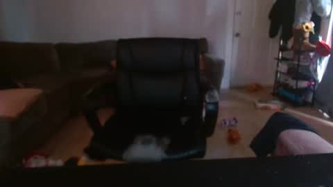 Stacy Banks online show from February 4, 1:38 pm