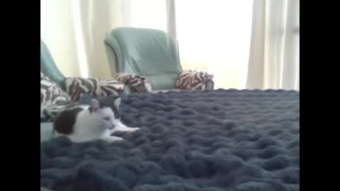 suni online show from March 10, 11:45 am