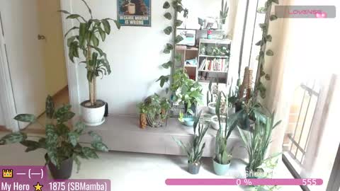 Tutti  online show from April 13, 2:51 pm