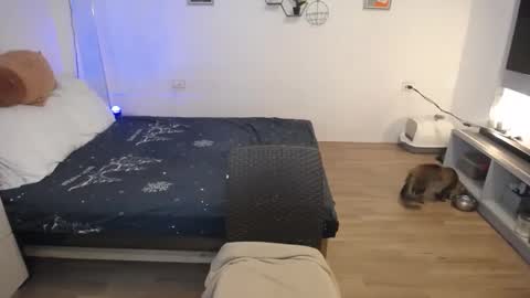 angel 3 online show from January 29, 11:41 am