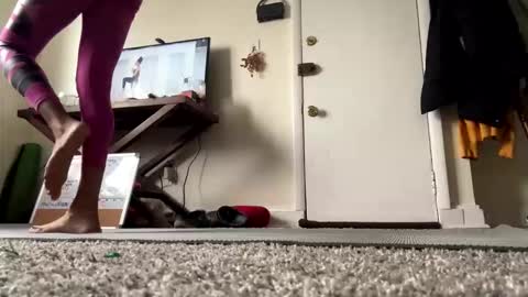 YoshiFit online show from March 6, 3:51 pm